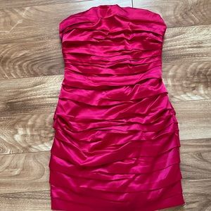 Express Body Hugging Hot Pink Dress